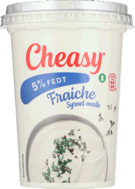 CHEASY FRAICHE 5% 1X500G