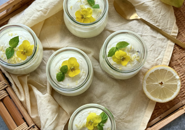 No-bake citroen cheesecake met skyr