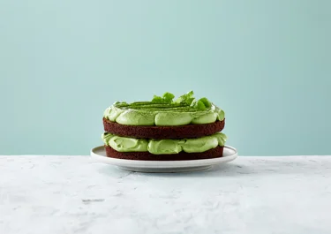 Intense chocolate cake with lactose-free avocado and matcha cream