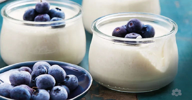 Yogurt panna cotta with blueberries