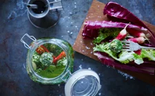 Mundrette Syltede Castello® Purløg og Forårsløg Flødeostkugler