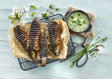 Grillet makrel med krydderurtesauce