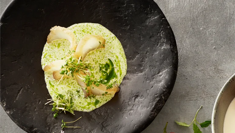 Hyldeblomst-gravad torsk med kefirsauce
