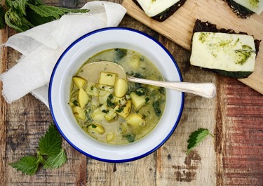Brændenældesuppe