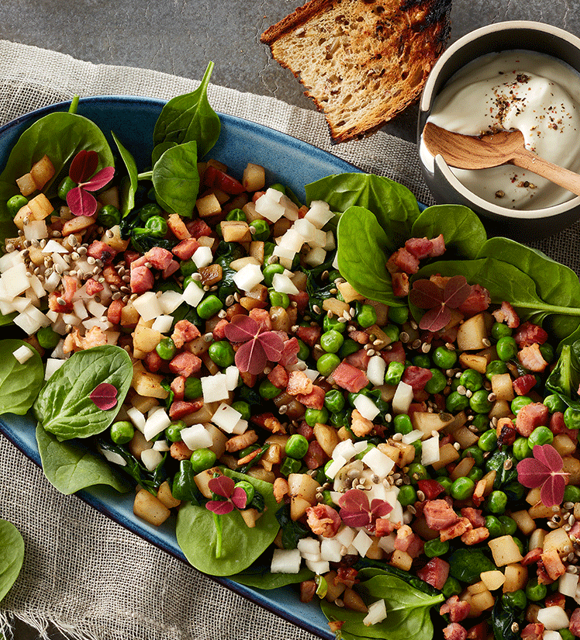 Crunchy Jerusalem artichoke salad with peas and bacon