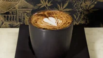 Cococcino