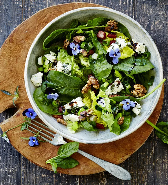 Violet salad with blue cheese and walnuts