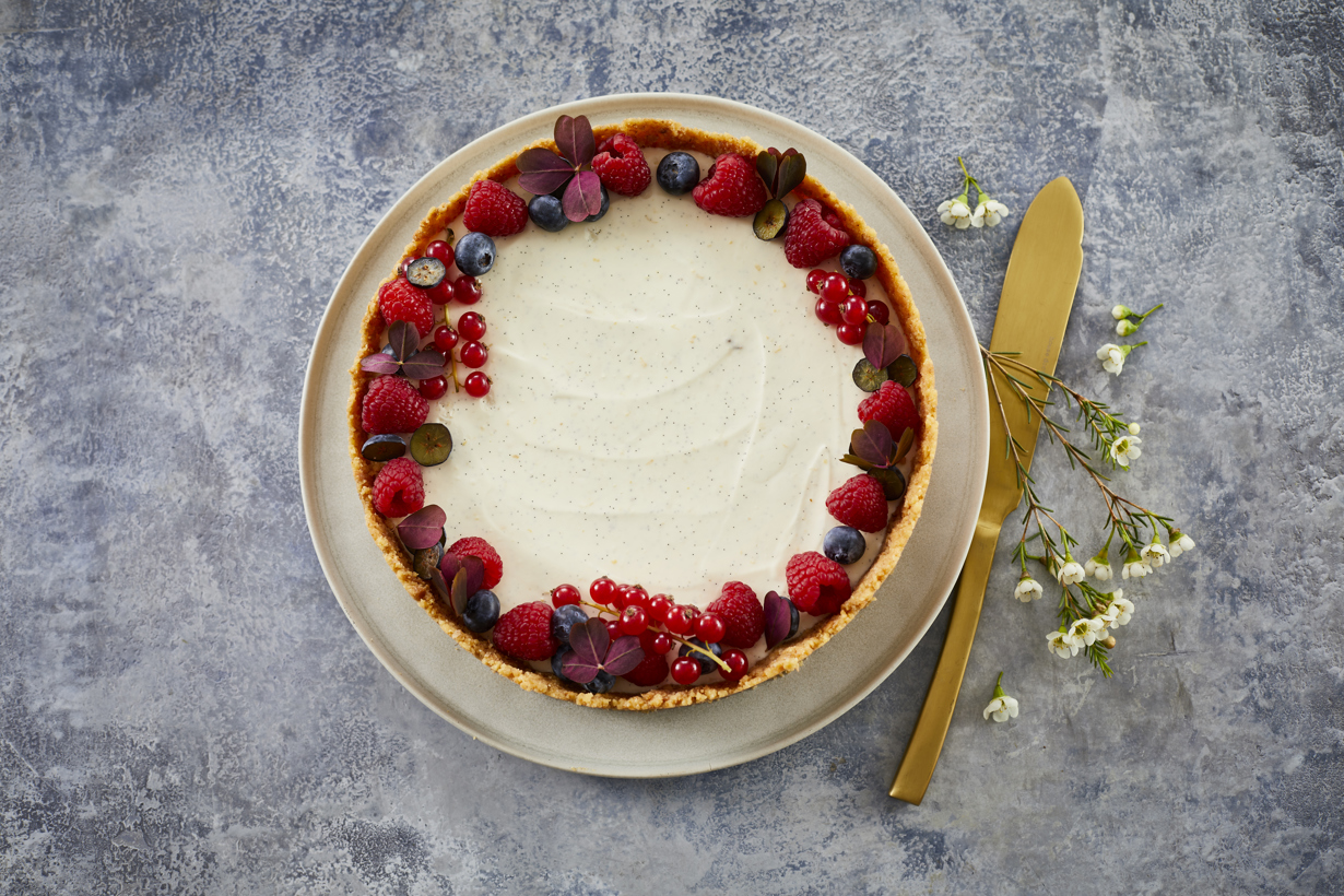 تشيز كيك الفانيليا