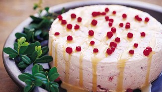 Puolukkasemifreddo