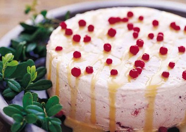 Puolukkasemifreddo