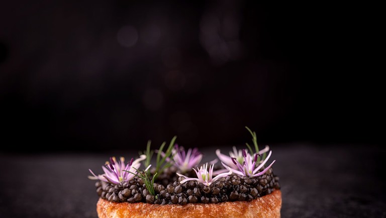 Sprød crustade med knivmusling og creme fraiche