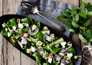 Frisk spinatsalat med mynte og salatost