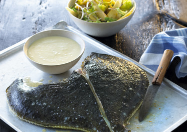 Pighvar med hollandaisesauce