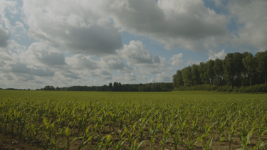 Let's push sustainability forward together