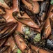 Cómo preparar mejillones en salsa