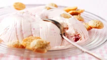 Rabarbersemifreddo med mandelbiskvier