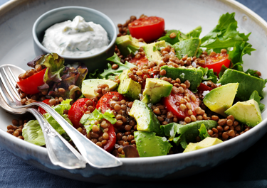 Avocadosalat 
