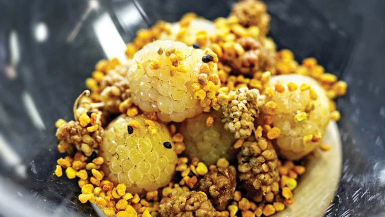 Forloren multebær med skyr, honning og bipollen