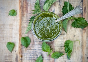 Brændenældepesto
