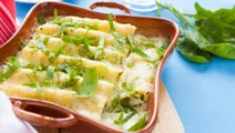 Spinach and ricotta cannelloni