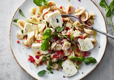 Pastasallad med ost och kronärtskocka