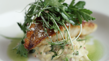 Skindstegt sejfilet på risotto