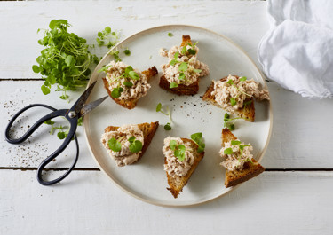 Tunfiskemousse