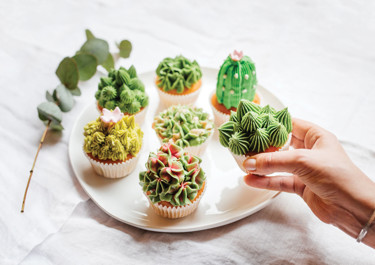 Succulent cupcakes eli mehikasvi muffinssit
