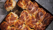 Peltipulla