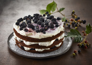 Brombærlagkage med chokoladeflødeskum