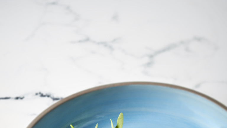 Oosterscheldekreeft met cremeux en kimchi van pastinaak