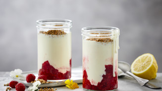 Koldskål - laktosefri