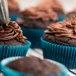 Chocolate cupcakes