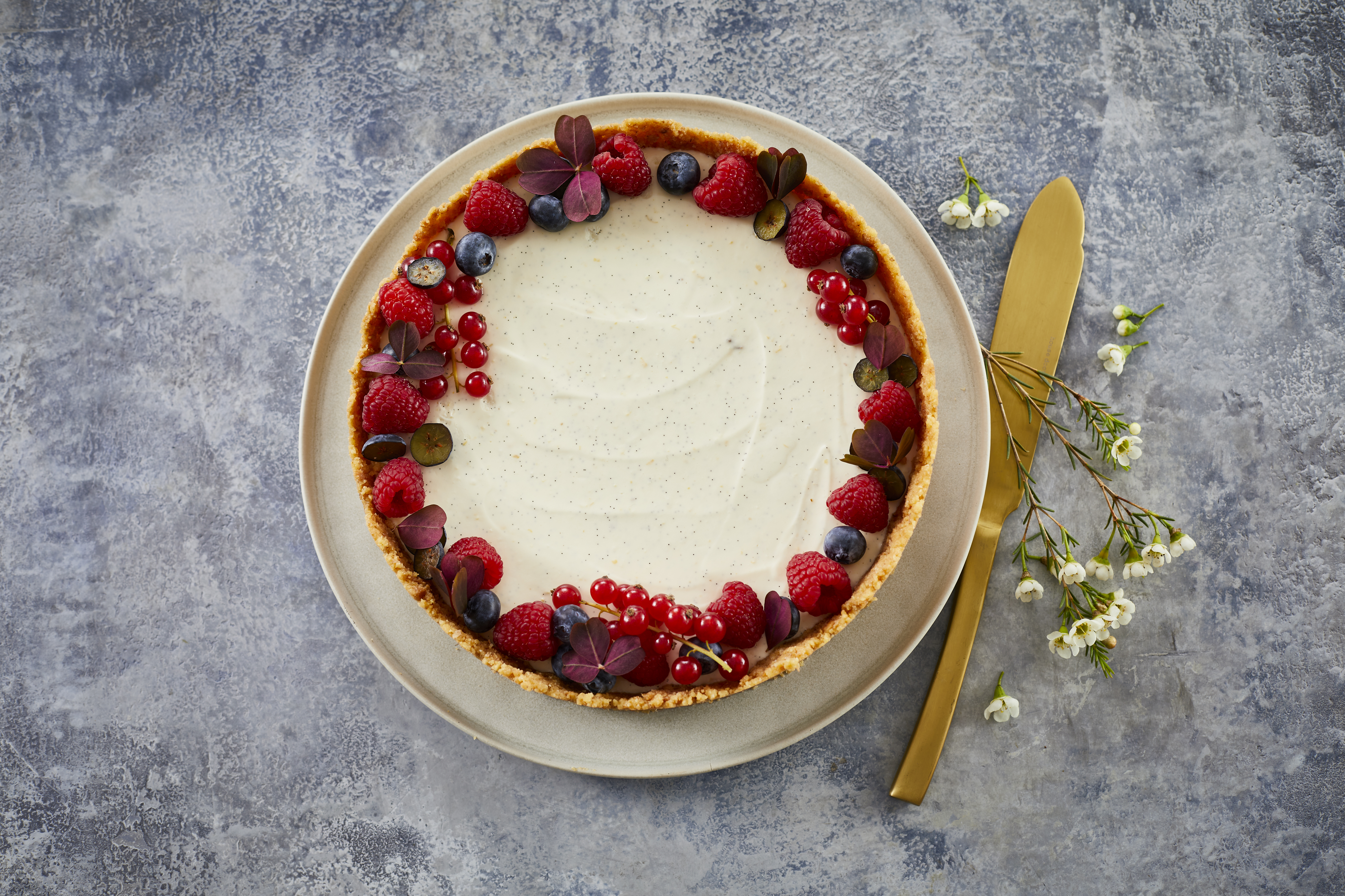 Vanille-Käsekuchen mit frischen Beeren (Rezept) - Rezept | Arla Foods