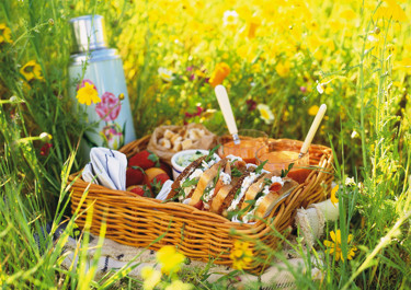 Picknickmacka
