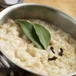 Bread Sauce