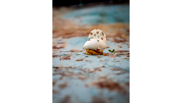 Yoghurtis med bagte æbler og friske urter