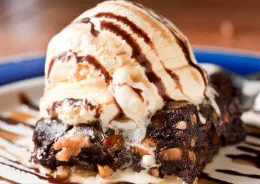 Chocolate Terrine