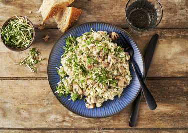 Risotto med svampe