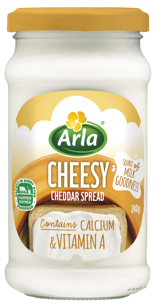 Cheesy Spread Cheddar 240g
