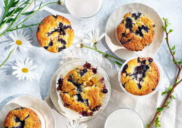 Blåbärsmuffins