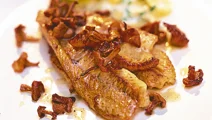 Abborre med pepparrotspotatis