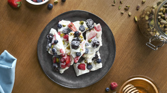 Frozen skyr with berries