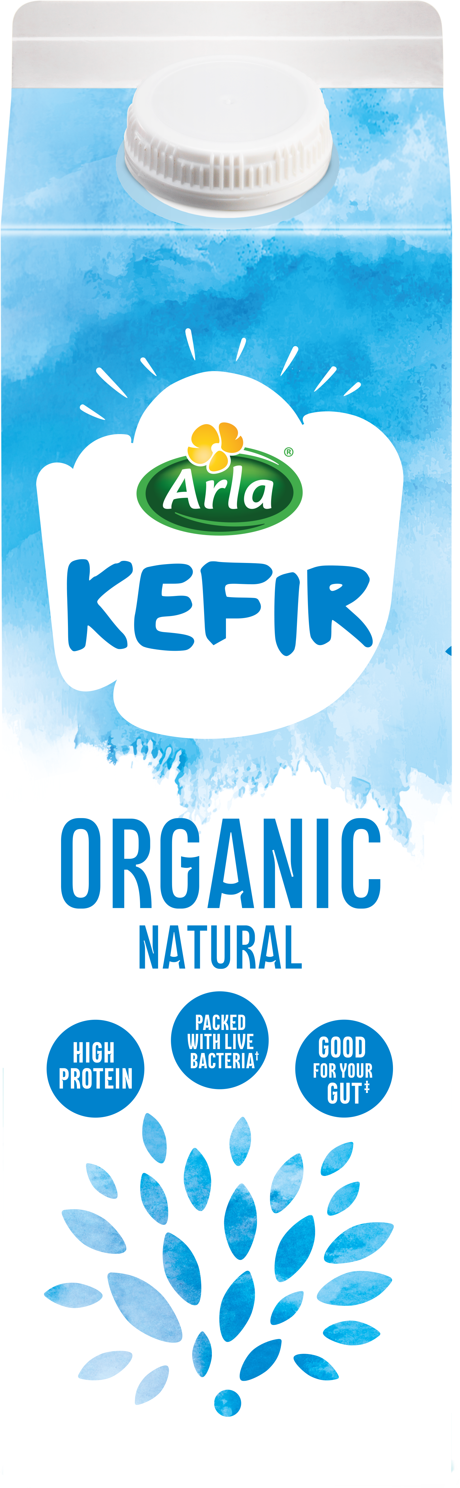 Kefir Organic 1L