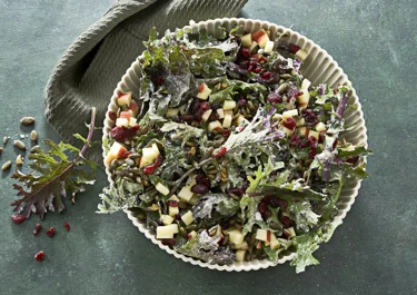 Salat med rød grønkål, æbler og tranebær