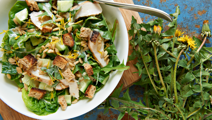 Kyllingesalat med mælkebøtte