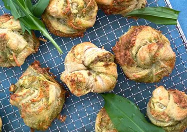 Pestohyrrät