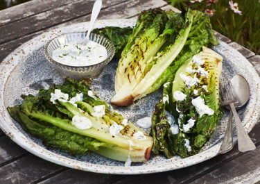 Grillet romainesalat med blåskimmeldressing