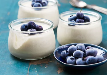 Joghurt Panna Cotta mit Heidelbeeren