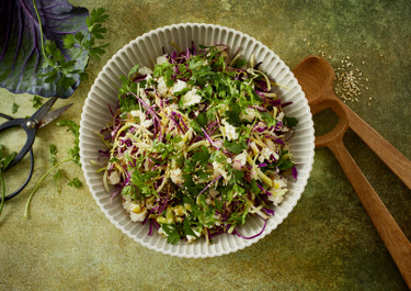 Kålsalat